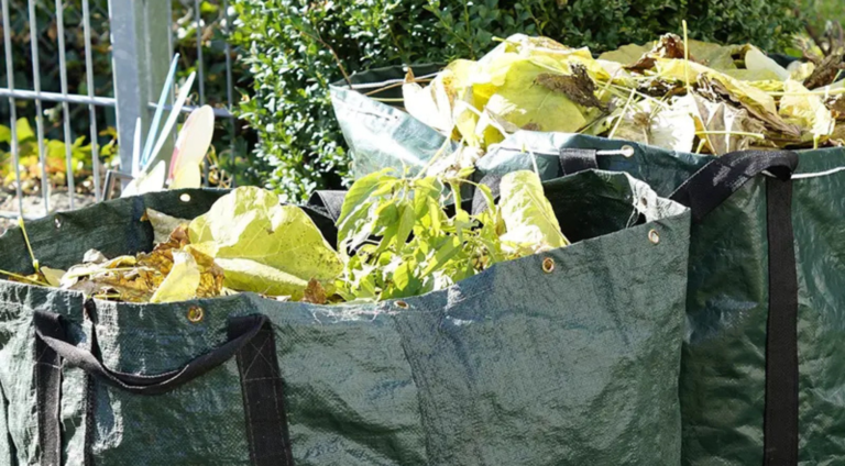 garden clearance